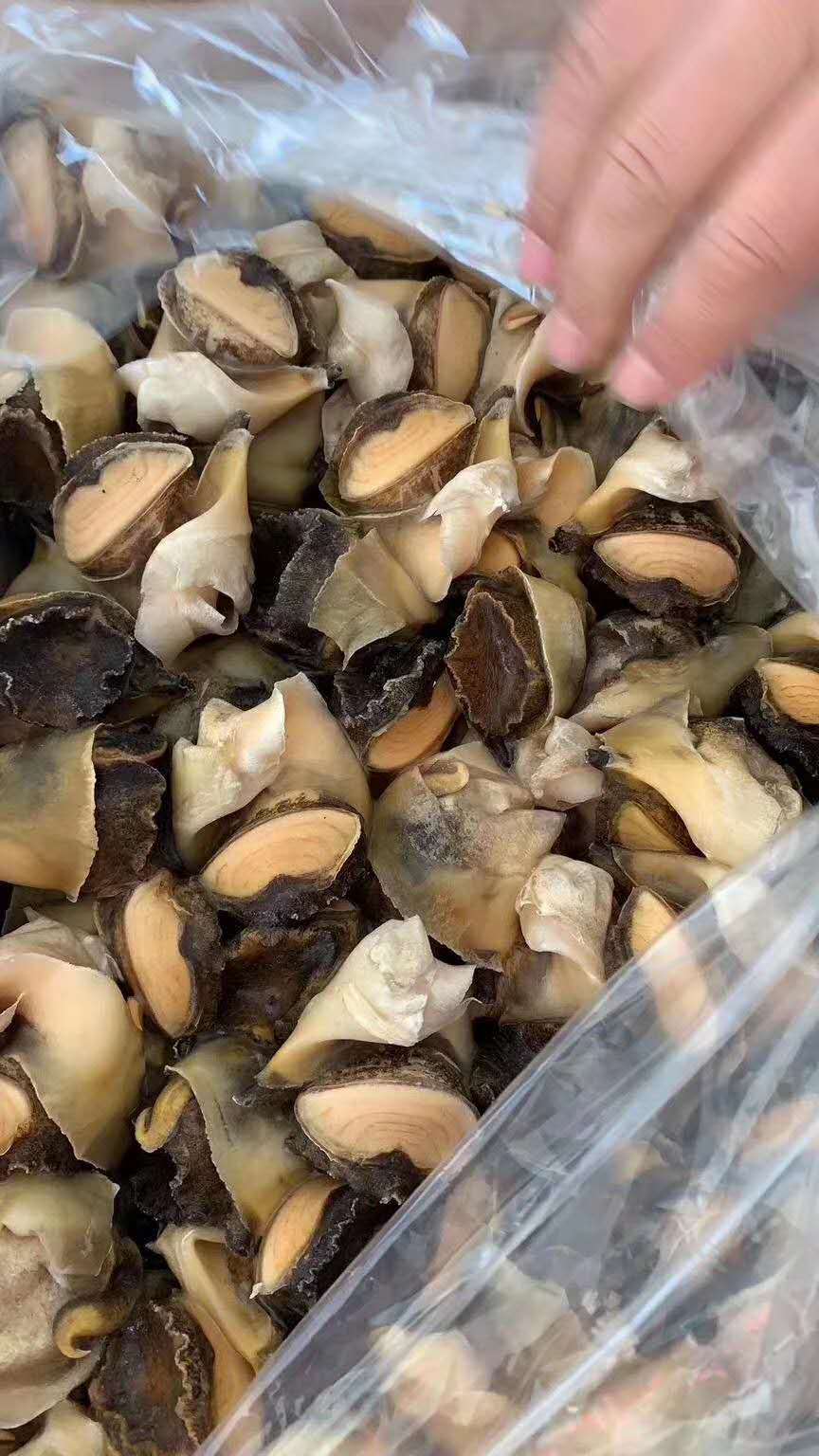 海螺肉原料去殼海螺肉螺絲炒泥螺去殼肉冷凍水產工廠批發