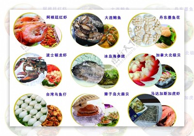 中越天海鮮產品展示 編號08060239精選素材